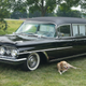 Image for article titled What's Your Perfect Final Car?